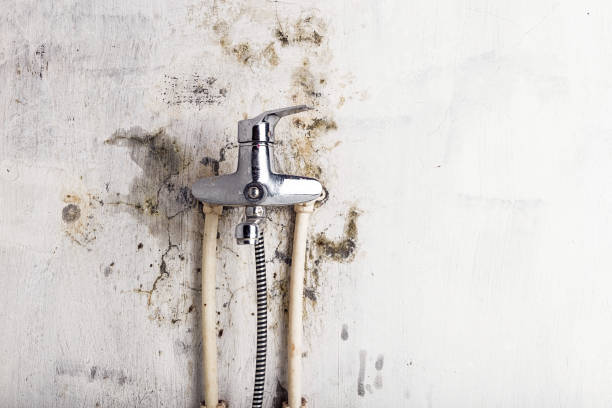 Best Mold Cleaning Services  in Hanley Hills, MO