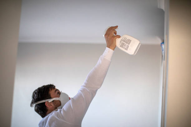 Best Mold Cleaning Services  in Hanley Hills, MO