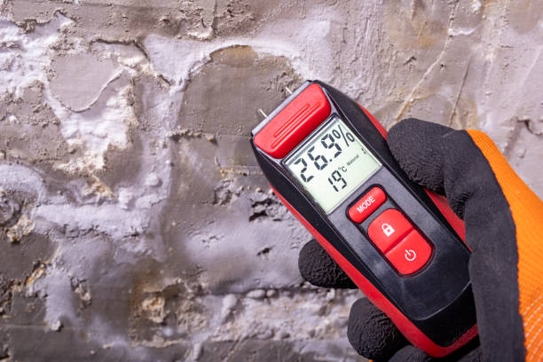 Best Mold Removal Near Me  in Hanley Hills, MO