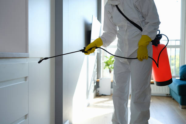Best Professional Mold Removal  in Hanley Hills, MO