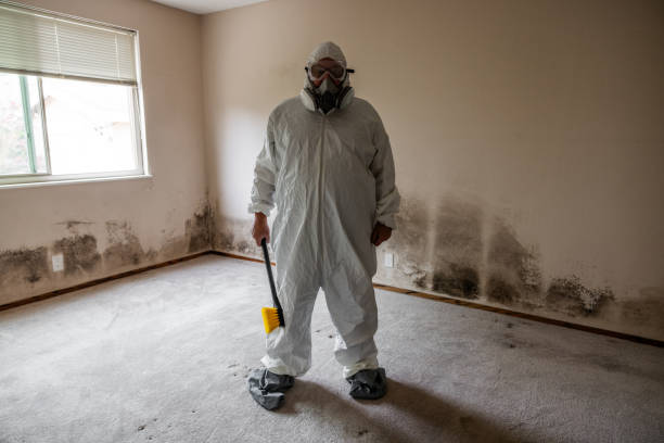 Best Mold Removal Specialists  in Hanley Hills, MO